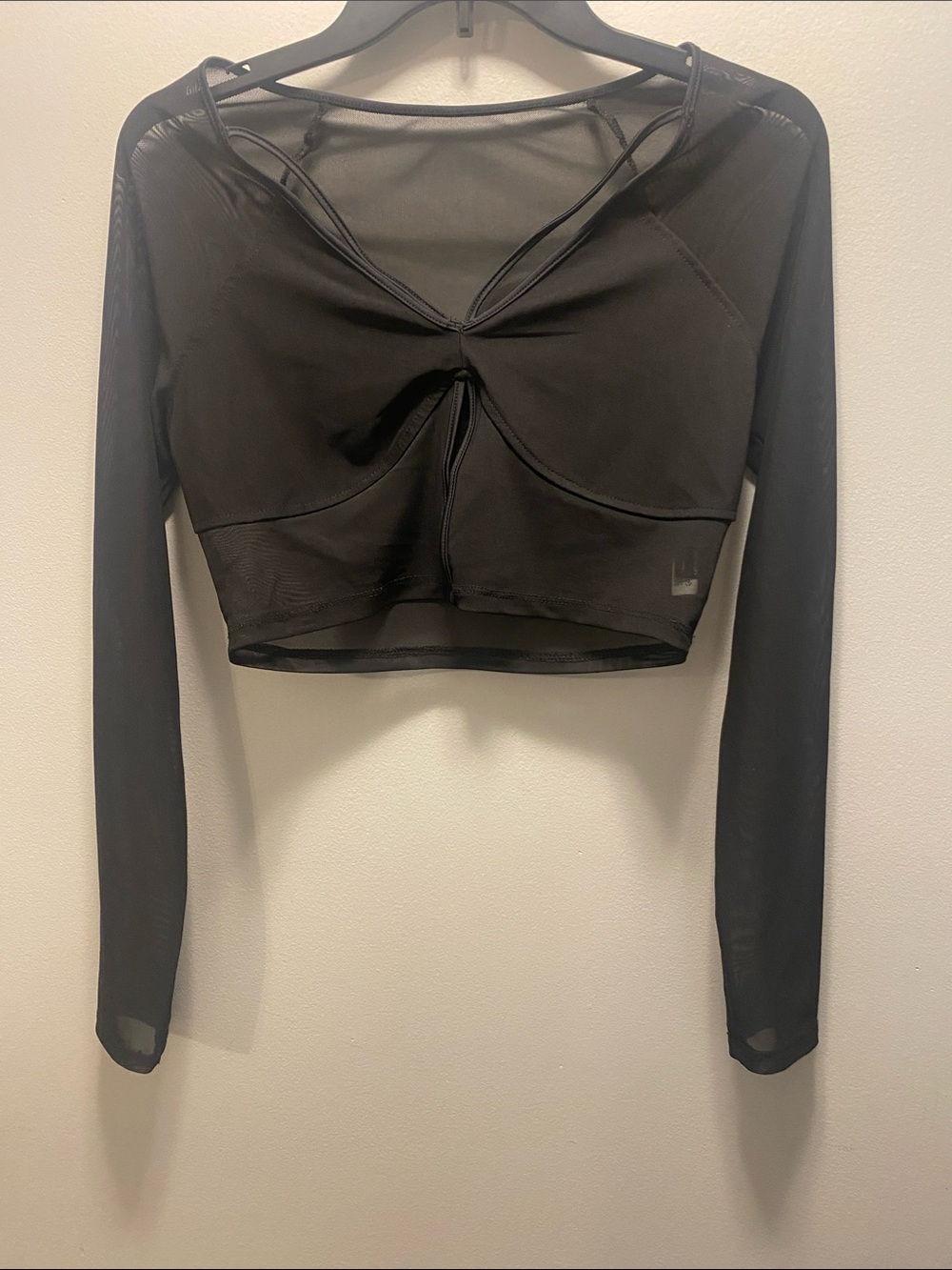 SHEIN Black Sheer Long Sleeve Crop Top